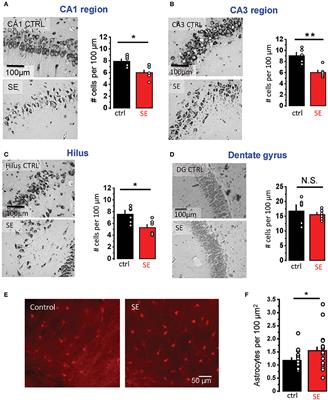 Astrocytic Atrophy Following Status Epilepticus Parallels Reduced Ca2+ Activity and Impaired Synaptic Plasticity in the Rat Hippocampus